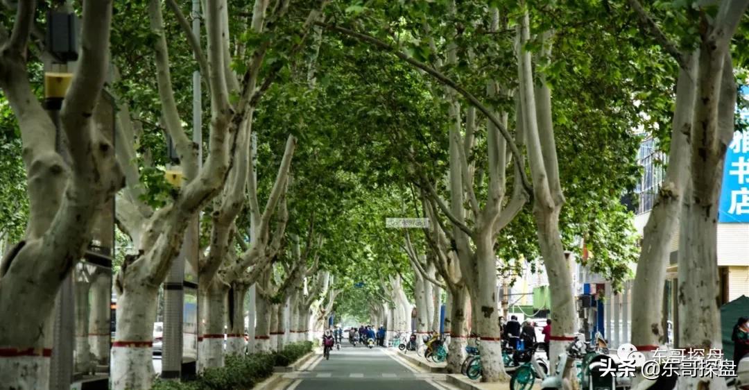 康桥最新规划,康桥最新发展