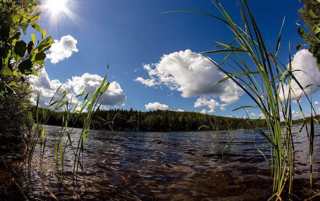 芬兰共和国国父,芬兰共和国的资料