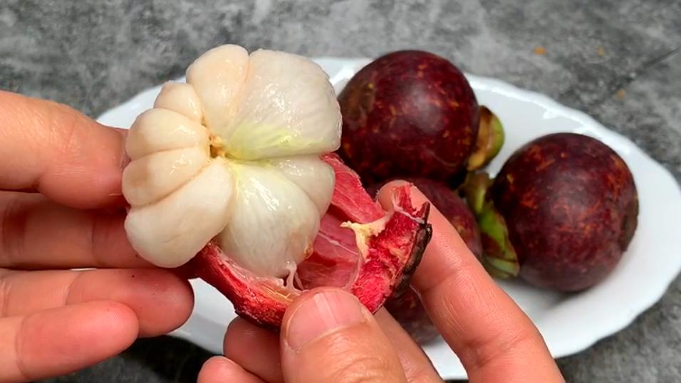 多核山竹怎么挑选,怎么挑多核山竹种子好