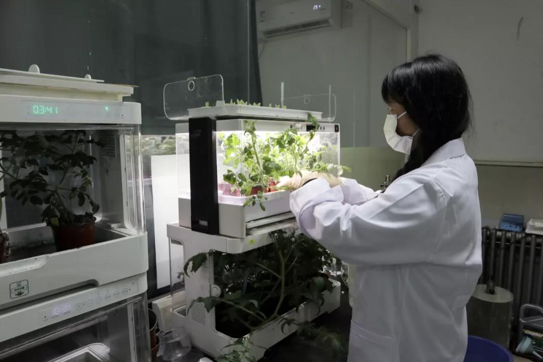 人造肉将来新消息,人造肉热潮来了