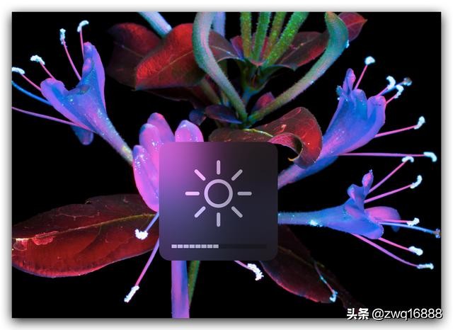 联想小新air13pro装黑苹果,联想小新air14黑苹果