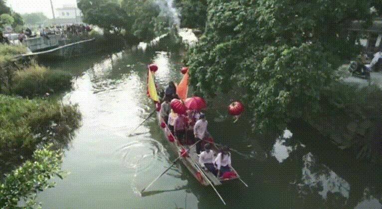 珠海是一座浪漫的休闲城市,珠海哪个区环境最美丽最好