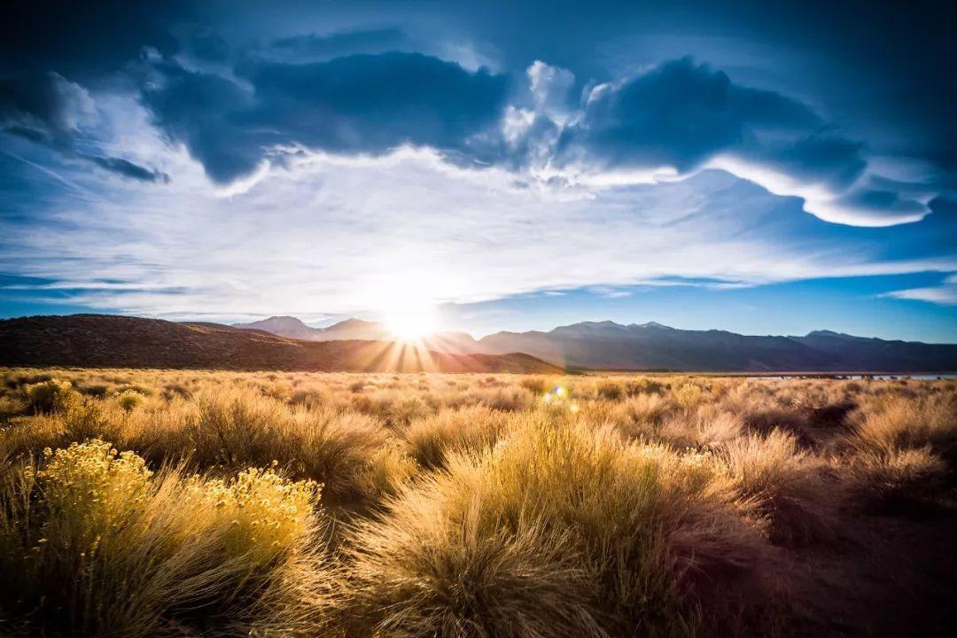 我无比怀念曾经的自己,还怀念初中遇到的人