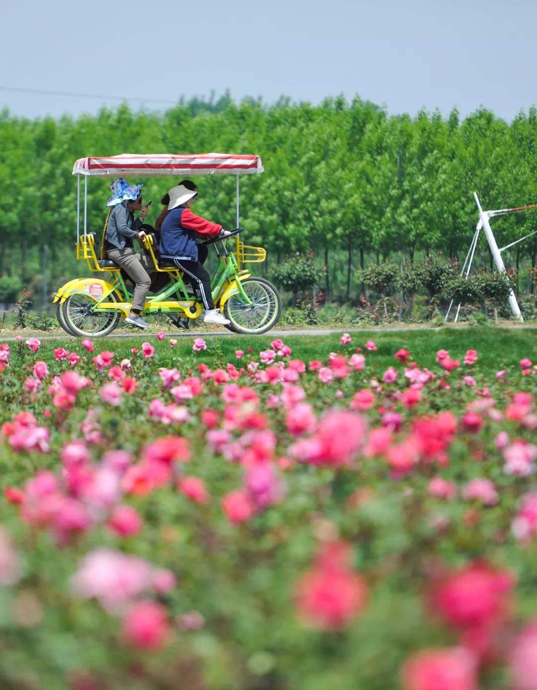 带你走进农家乐享受农村美食,田园风光农家乐美食推荐