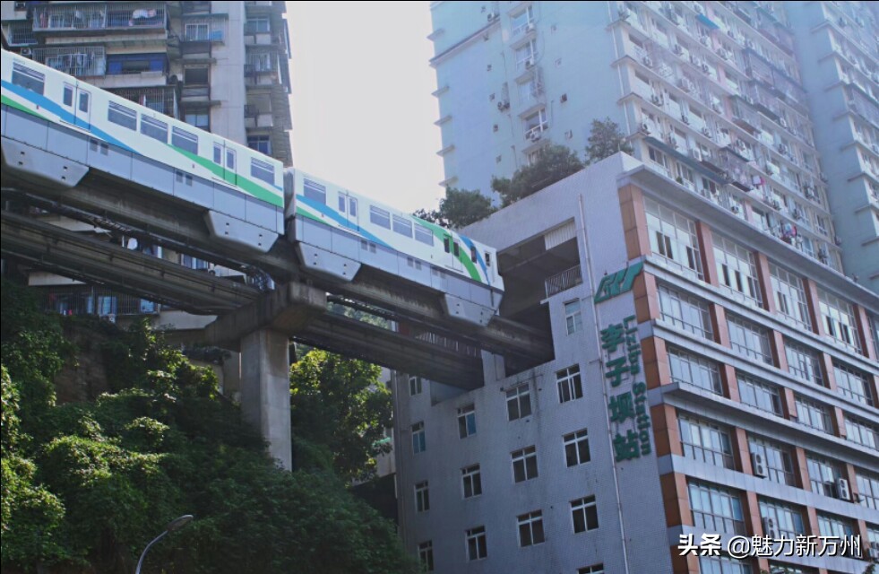 重庆渝中区是市中心吗,重庆渝中区房屋管理中心