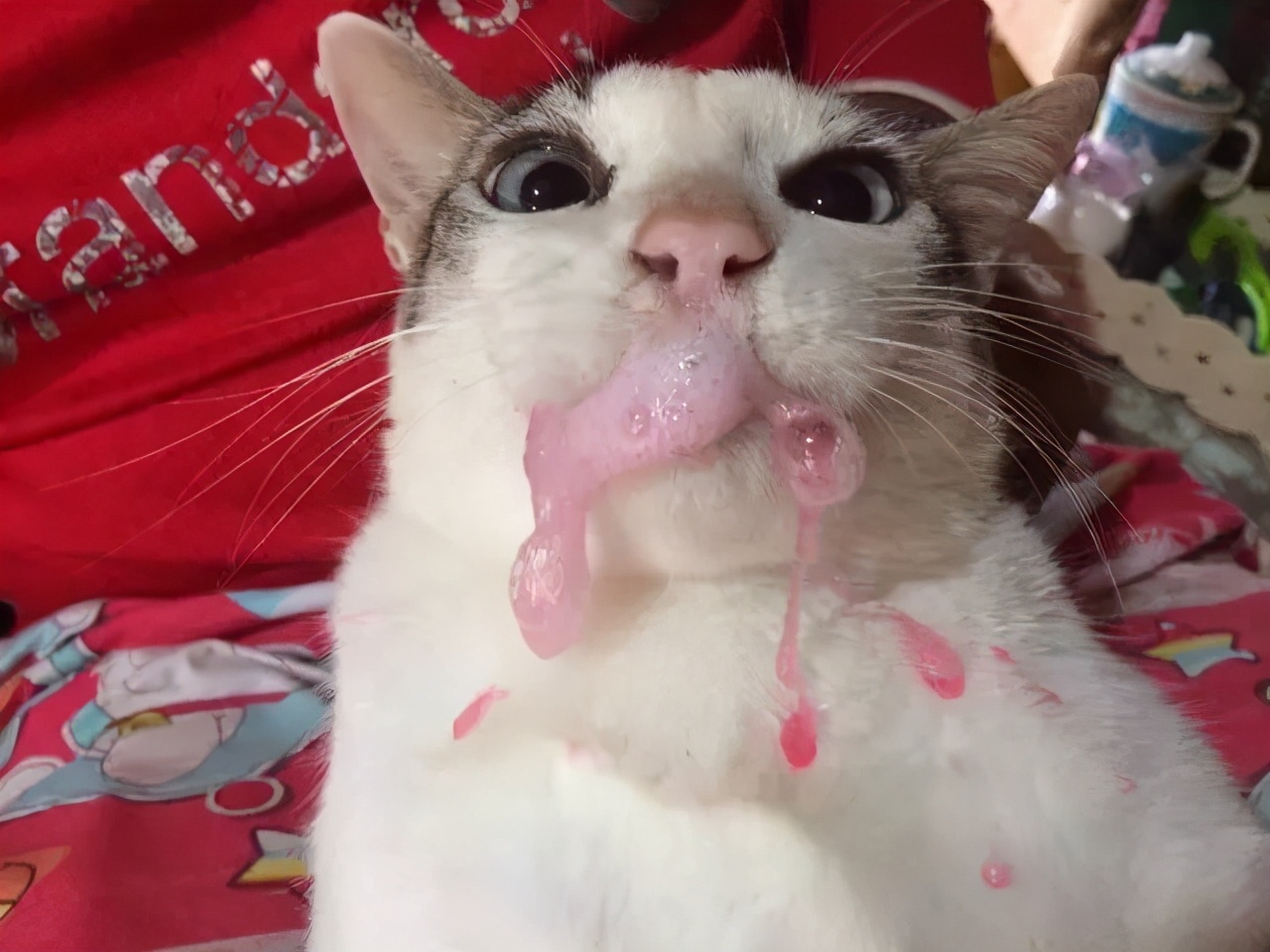 猫咪呕吐处理攻略,猫咪常见的呕吐原因及治疗方法