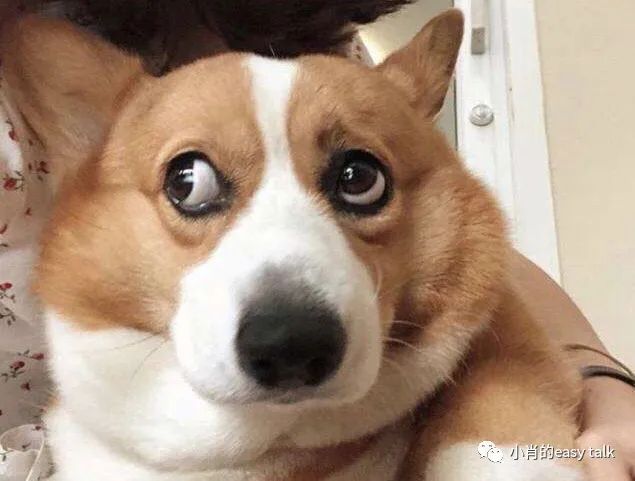 盘点奢品圈里的小欢乐（二）-衣食父母篇