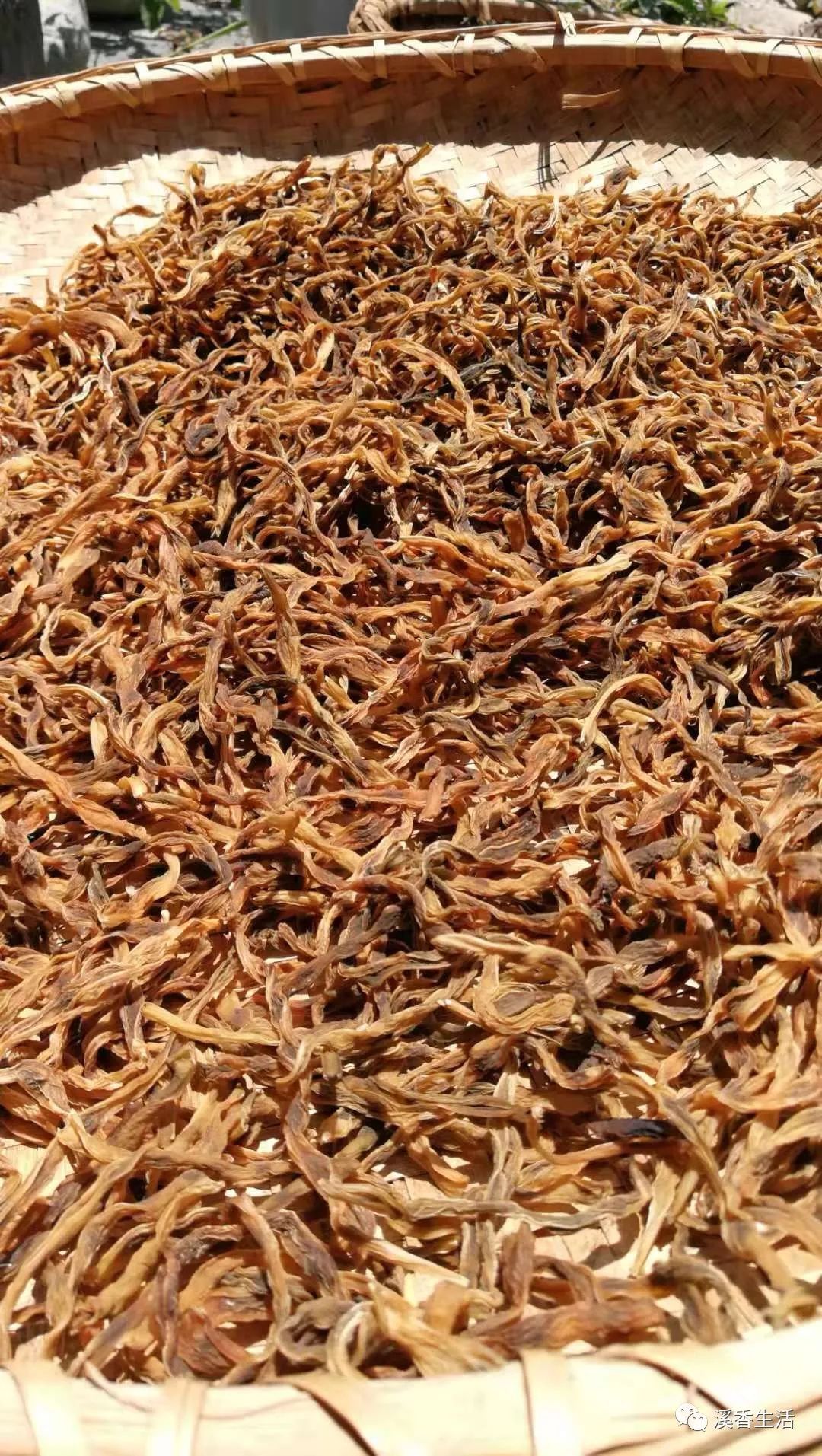 西溪南古村落惬意慢生活,徽州西溪南生活