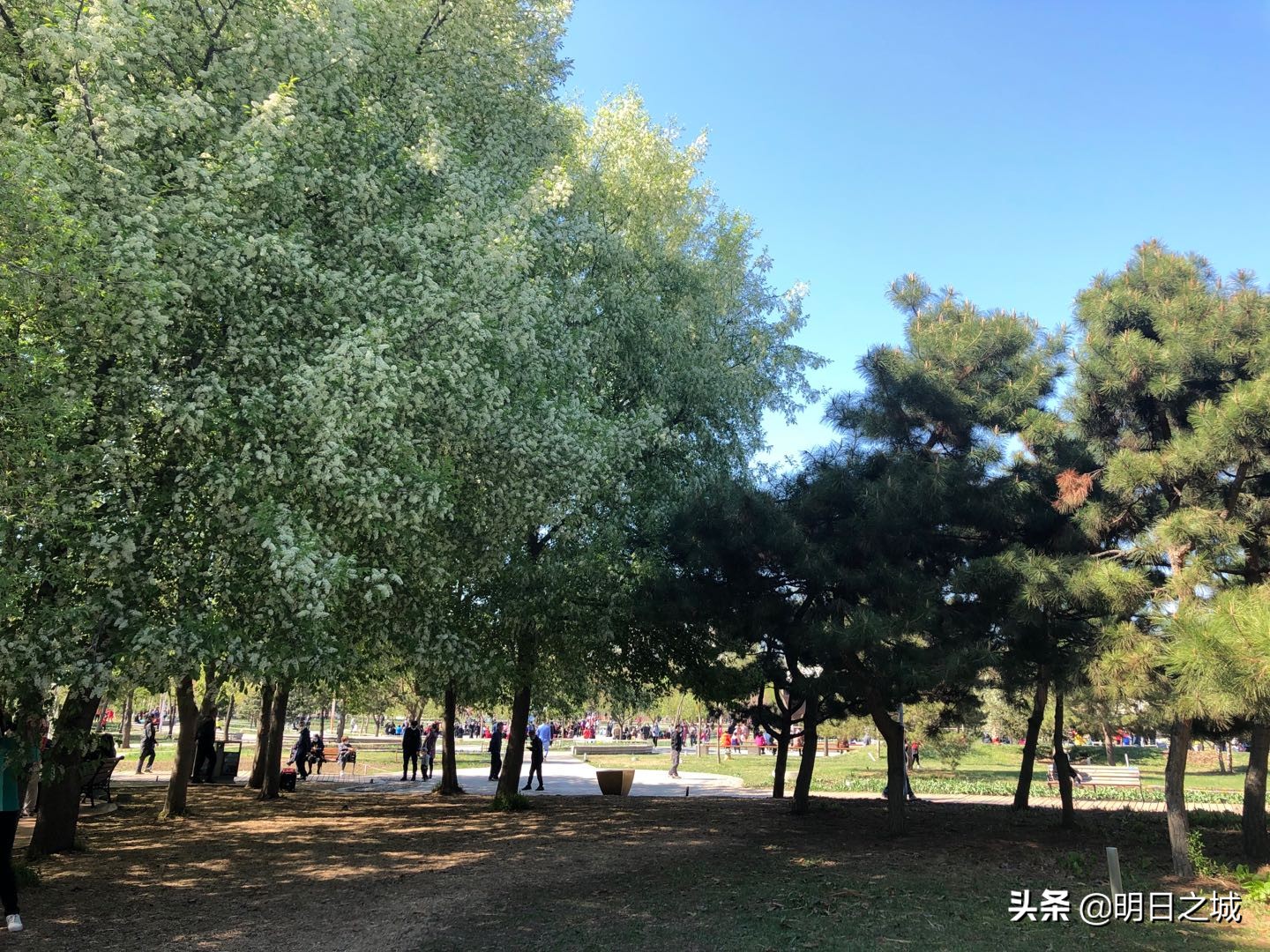 璐圭帀娓呯粡鍏告瓕鏇瞜tv,璐圭帀娓卥tv鍞辨瓕