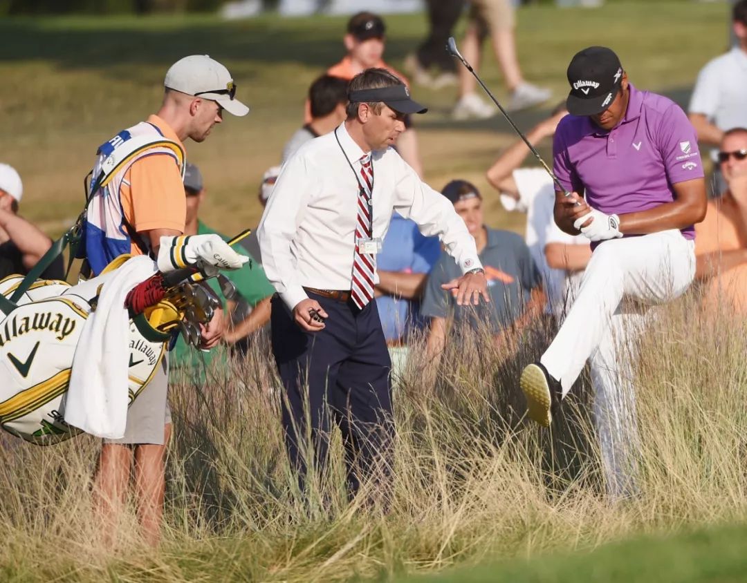 揭秘高尔夫内部,高尔夫最新政策