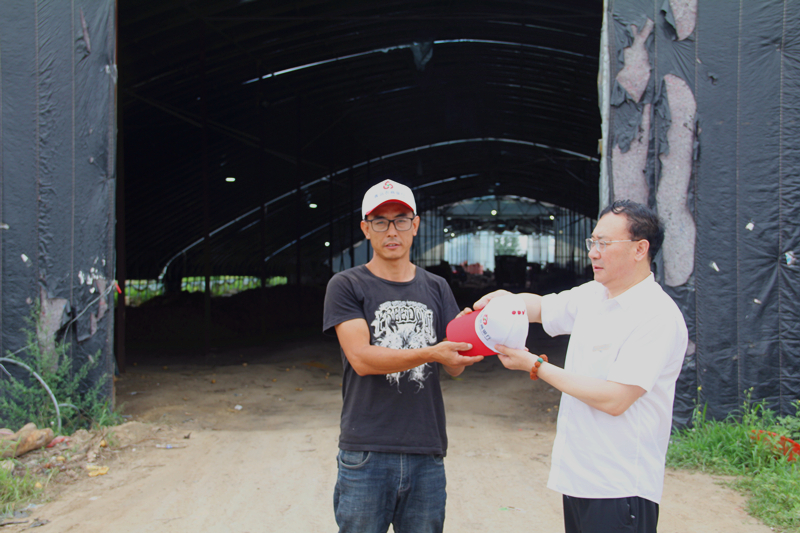 农商人点豆成金的故事