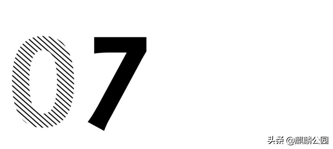 哪哪都有你|最大的国企美国邮政（USPS），快被特朗普搞破产了？