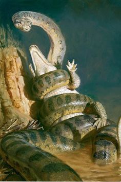 鳄鱼和沧龙还有鲨鱼谁更厉害,巨鳄和沧龙哪个比较厉害