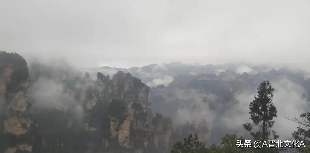 河曲赵云生｜神游张家界