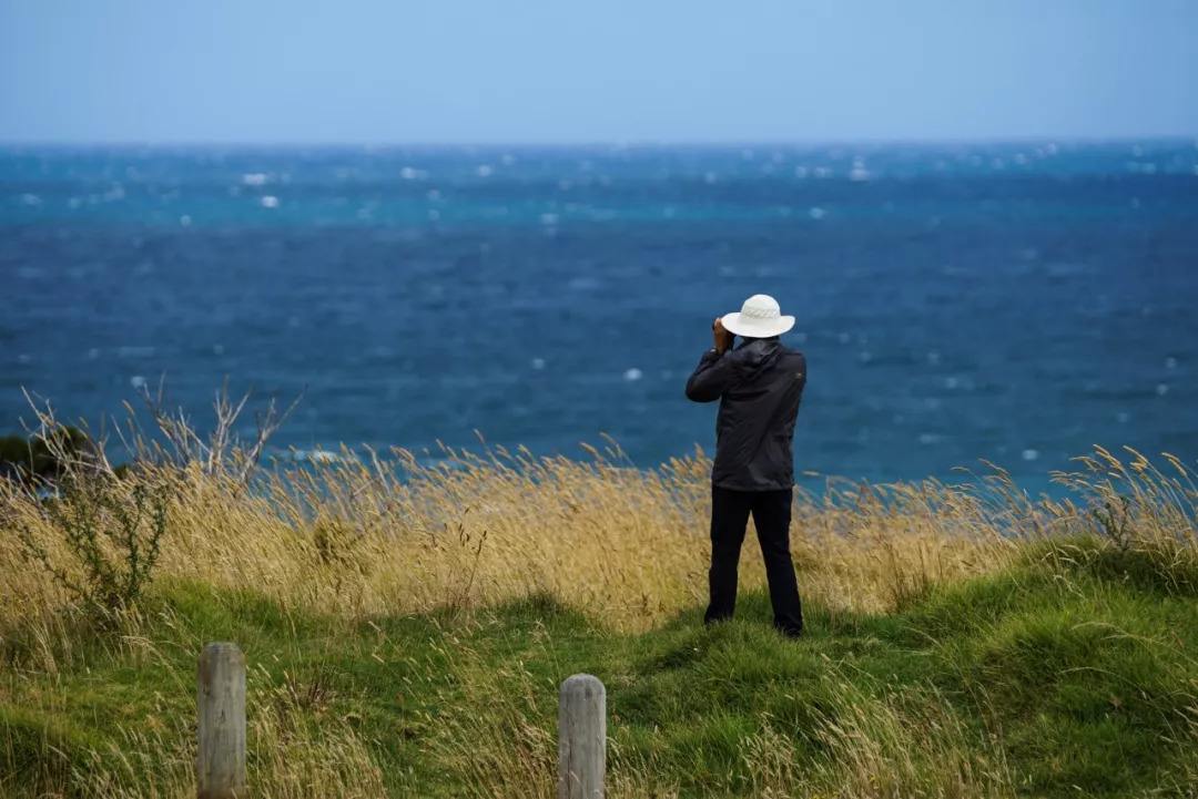 用中心法构图和三分法构图的视频,掌握这几个构图技巧