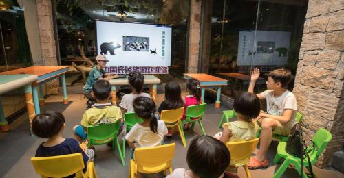 动物世界长隆国宝,长隆野生动物园国宝区