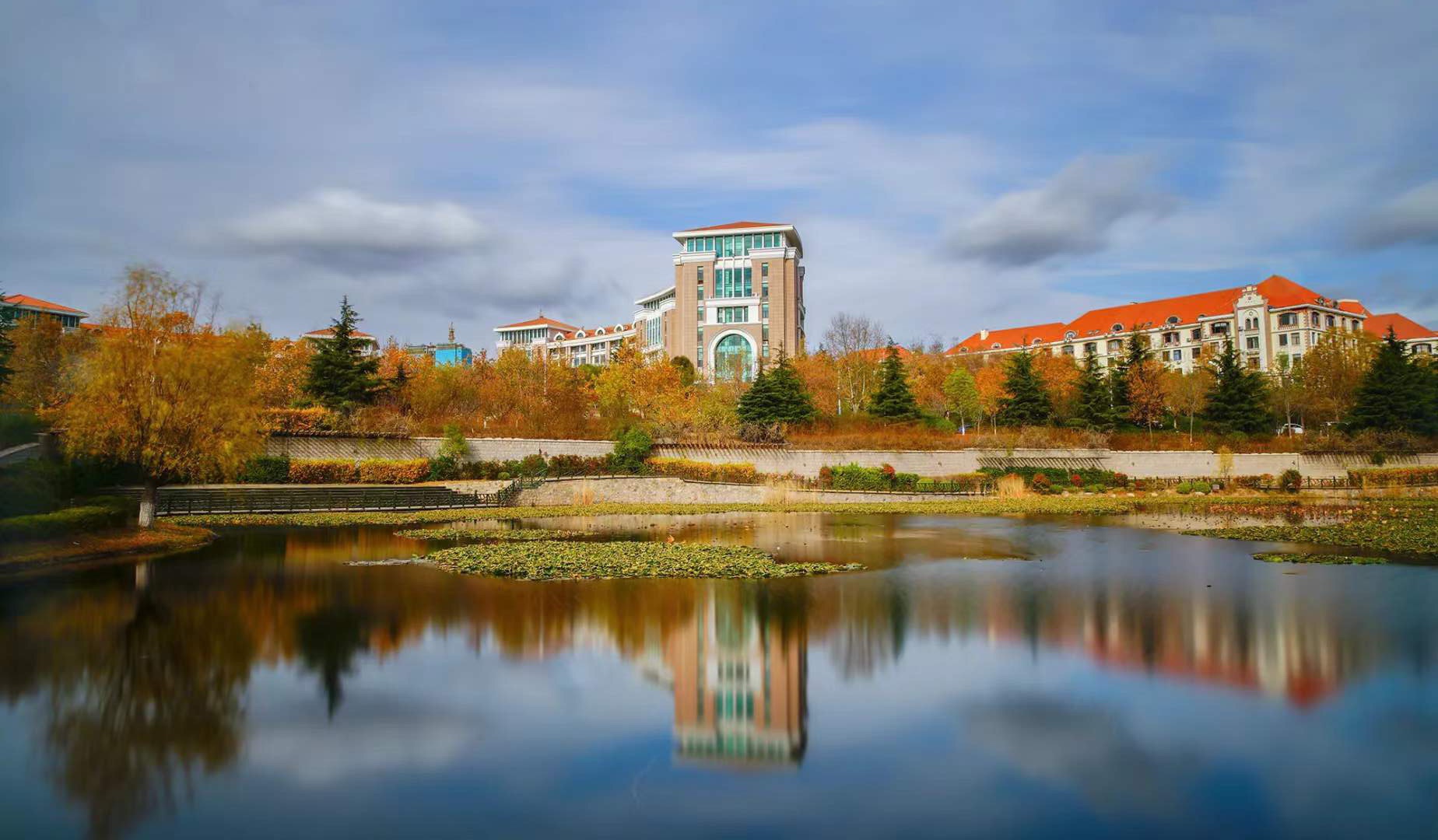 中国海洋大学mpacc方向,中国海洋大学mpacc上岸