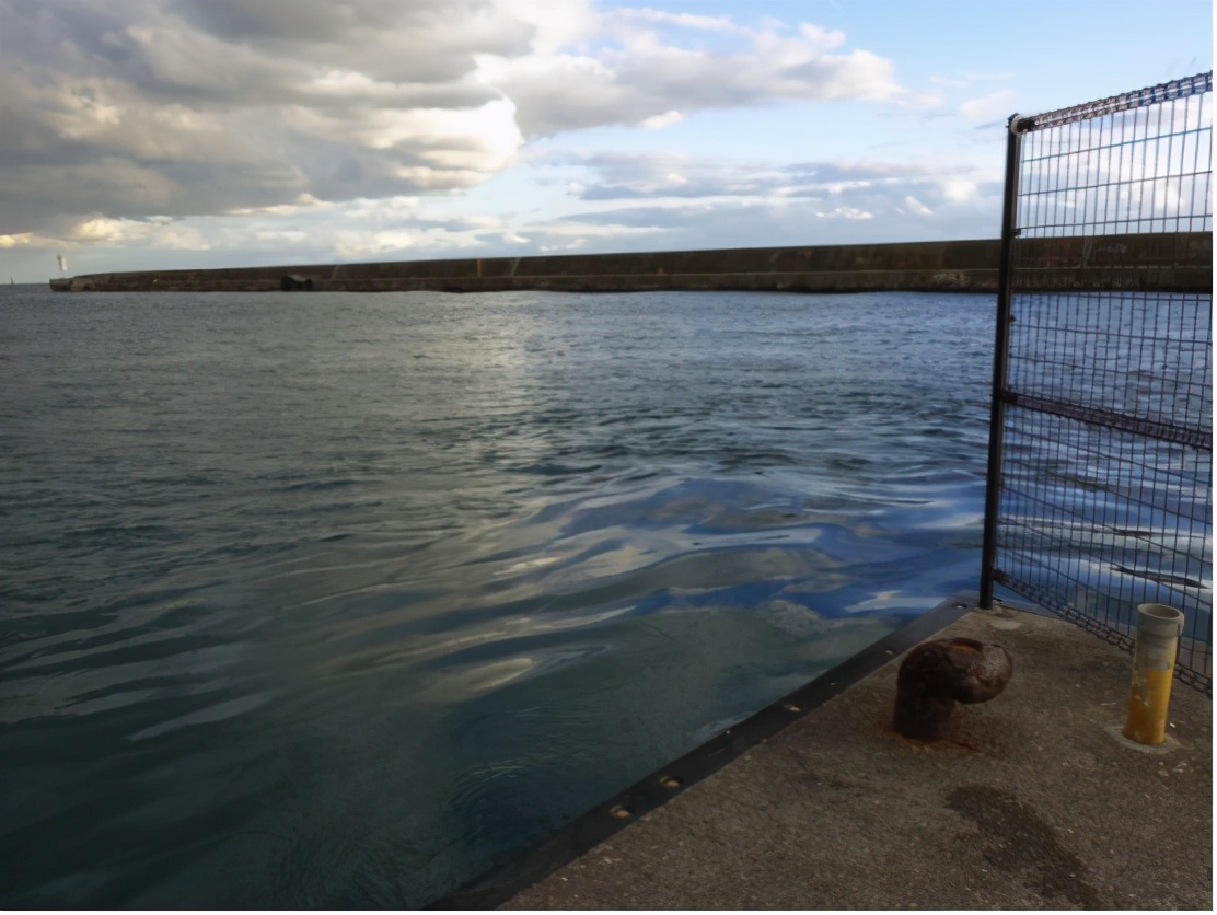 青竹鱼钓法和饵料,日本竹荚鱼的做法