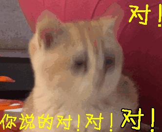 用国旗做头像违法吗官方回应,用国旗头像做头像违法吗