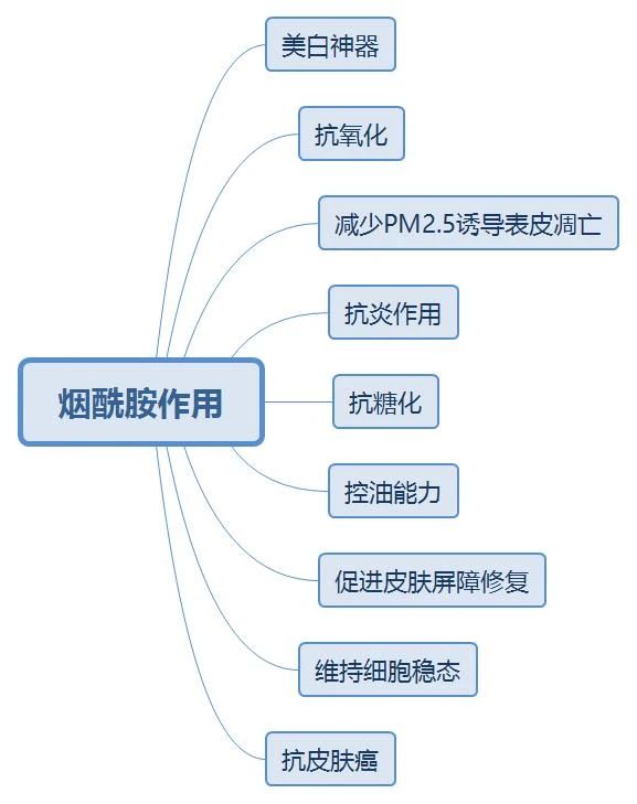 烟酰胺祛斑美白精华液的成分,揭开美白神器烟酰胺的神秘面纱