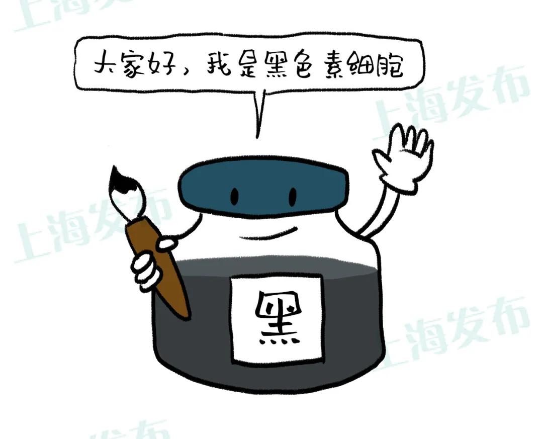 【医聊】年纪不大却长了白头发，需要紧张吗？