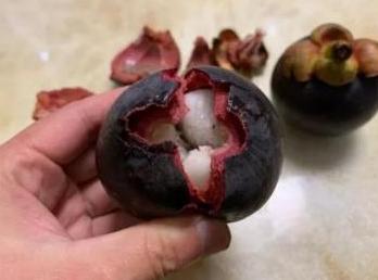 山竹哪里便宜又好,又高又大的山竹怎么样