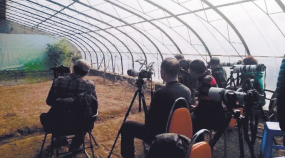 每个生命都值得被虐待,任何生命都不该被虐待