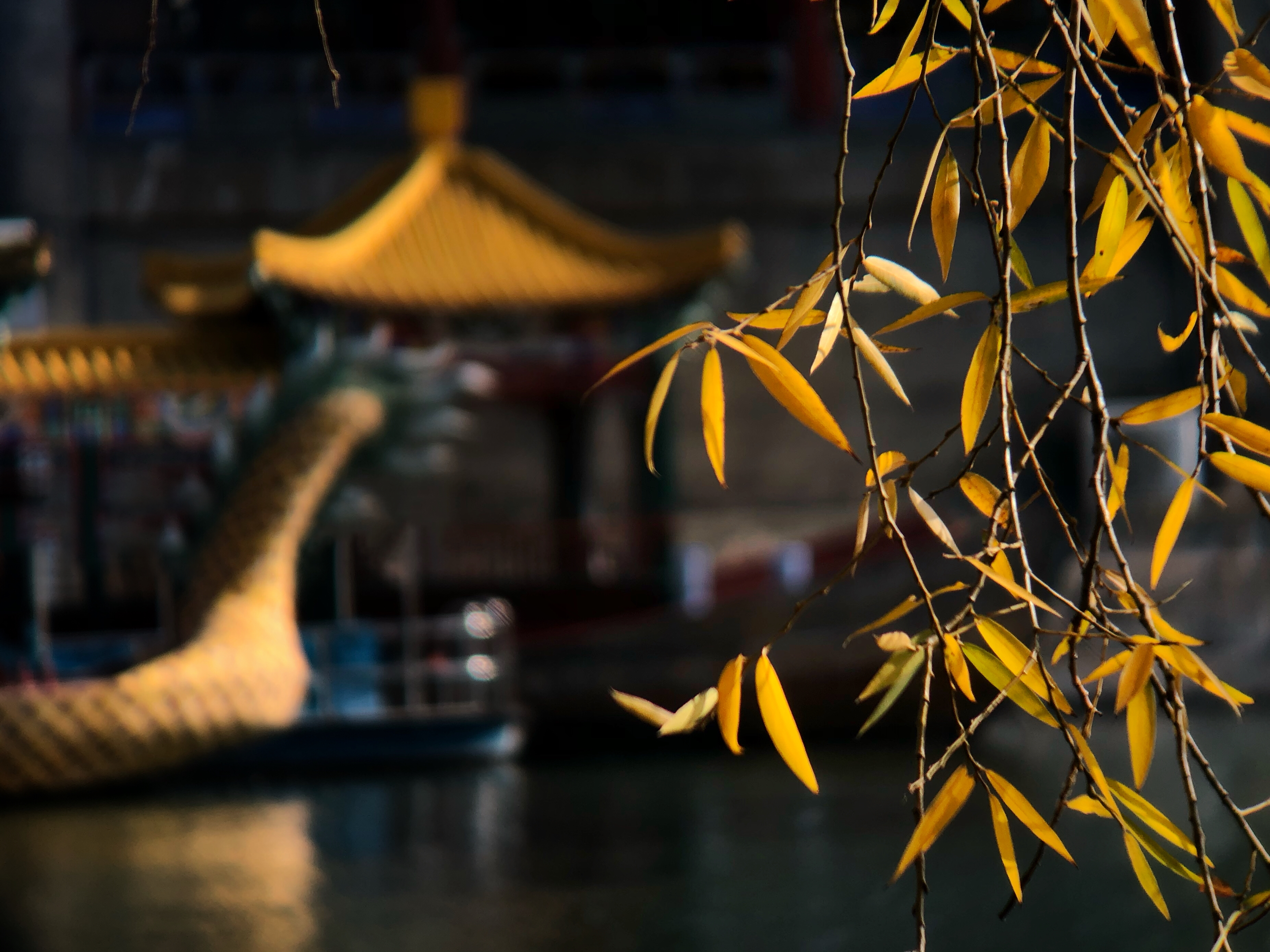 北京颐和园最佳拍照点,我用手机拍中国