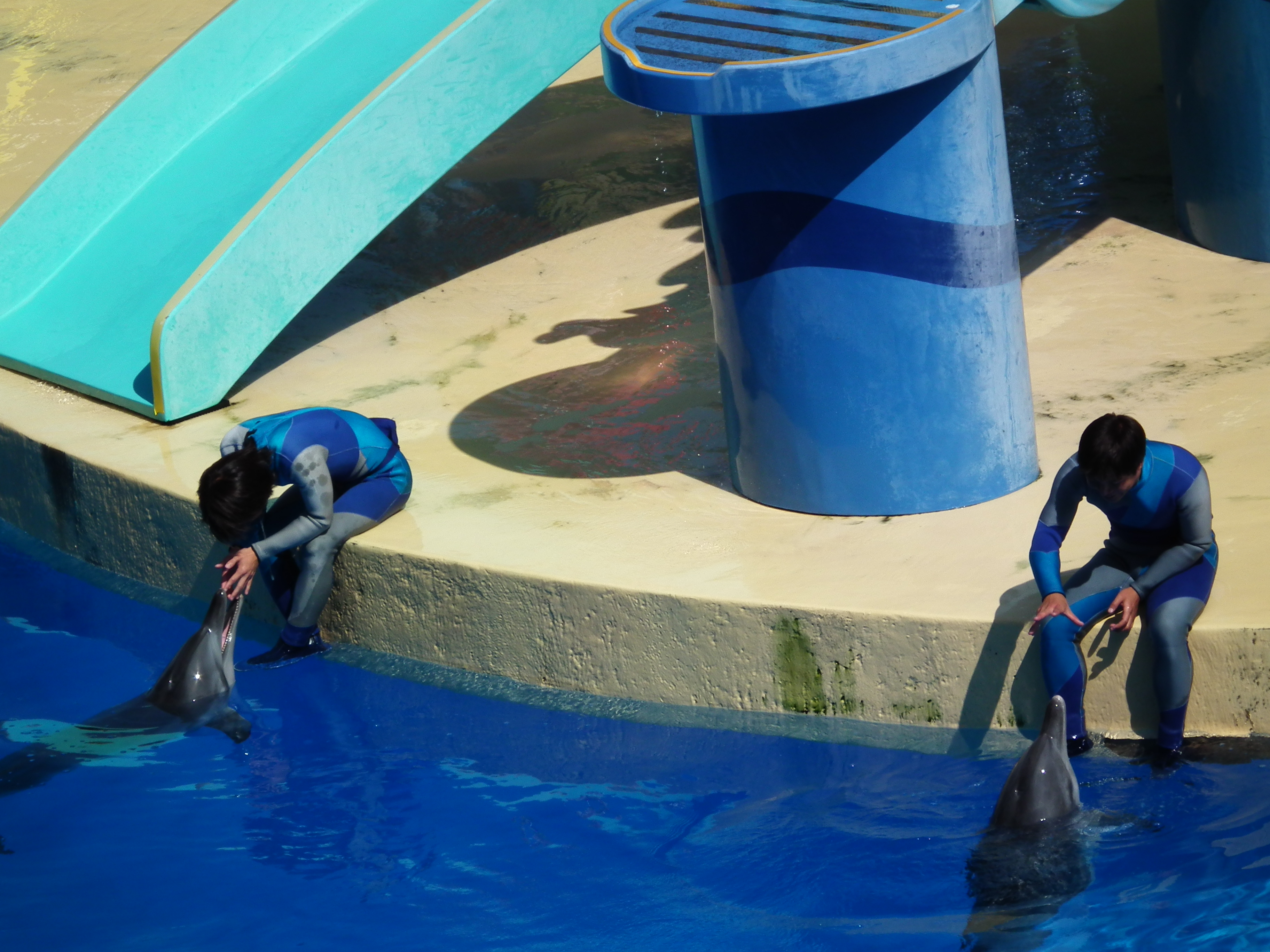 香港迪士尼海洋公园有什么项目,香港海洋迪士尼乐园