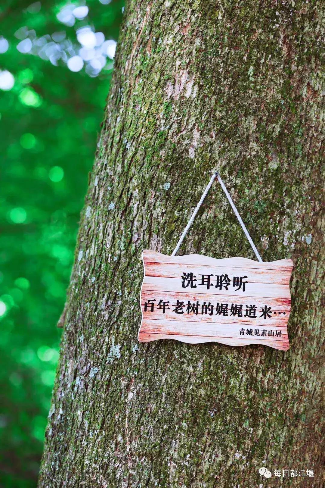 青城山十大顶级神仙民宿,藏在青城山里民宿