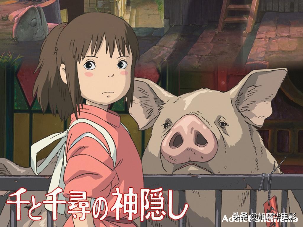 一口气看完外国20部高分电影,20部国外高分电影一口气看完