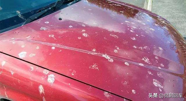 氧化褪色,车漆腐蚀出现白斑怎么办
