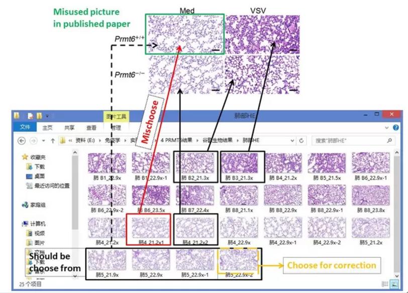 曹雪涛事件真人照片,曹雪涛回应论文实验图