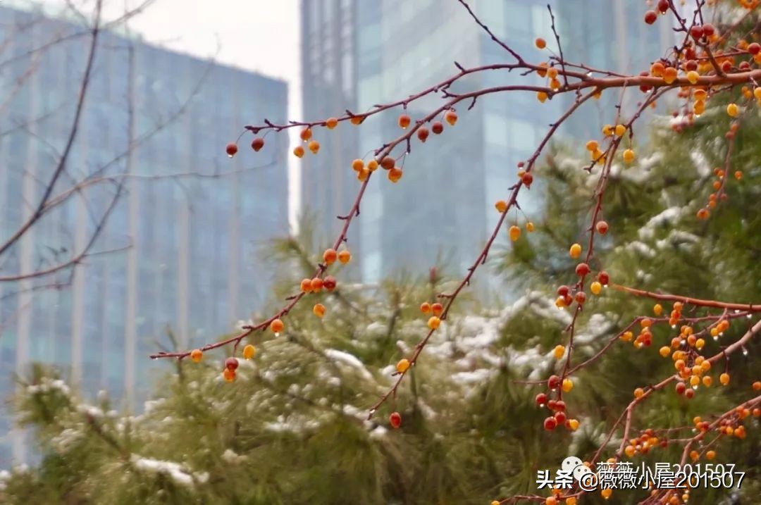 城市漫步,城市漫步郑州