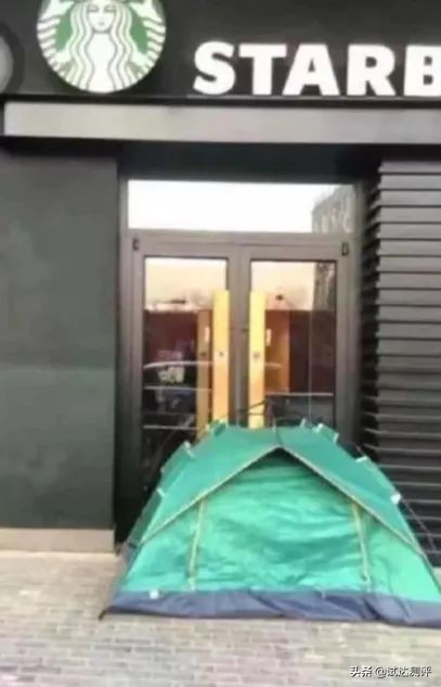 被星巴克“猫爪杯”收割智商税？这只猫能帮你提高智商，亲测有效