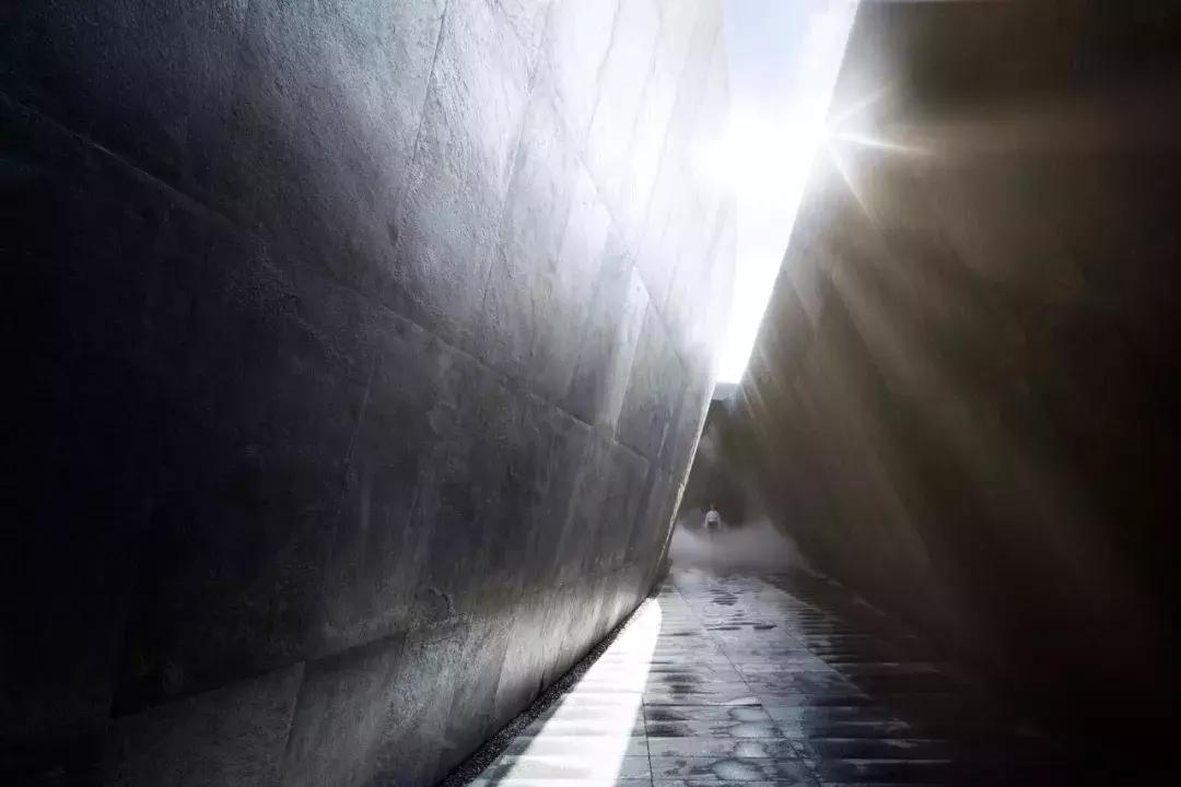 当景观遇上设计,当景观植物遇见灯光