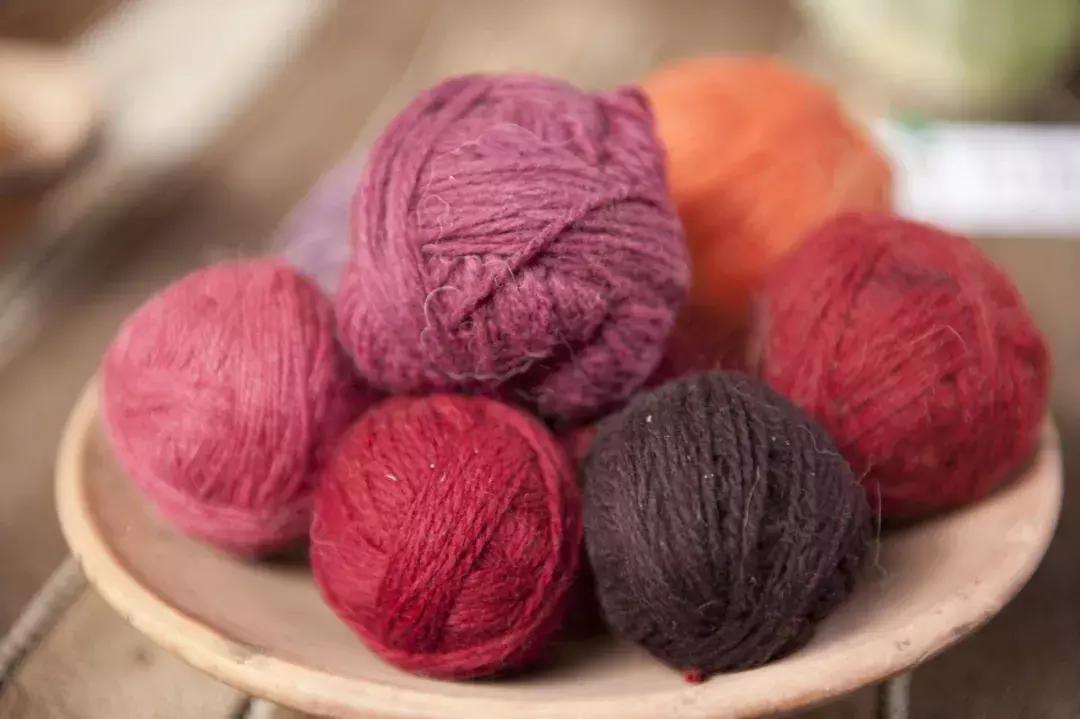 包括羊驼的十大神兽羊驼简介,羊驼神兽为什么吐口水