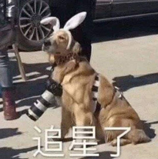 手抄歌词是90后童年最虔诚的追星方式