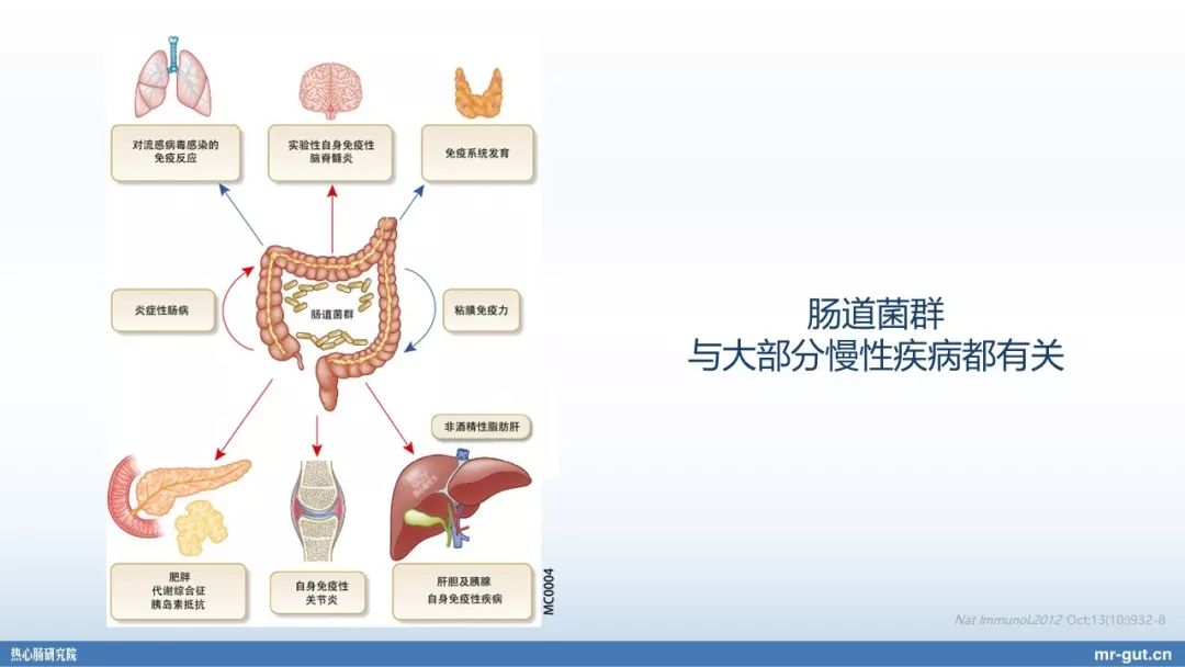 热心肠先生益生菌视频大全,热心肠先生全集