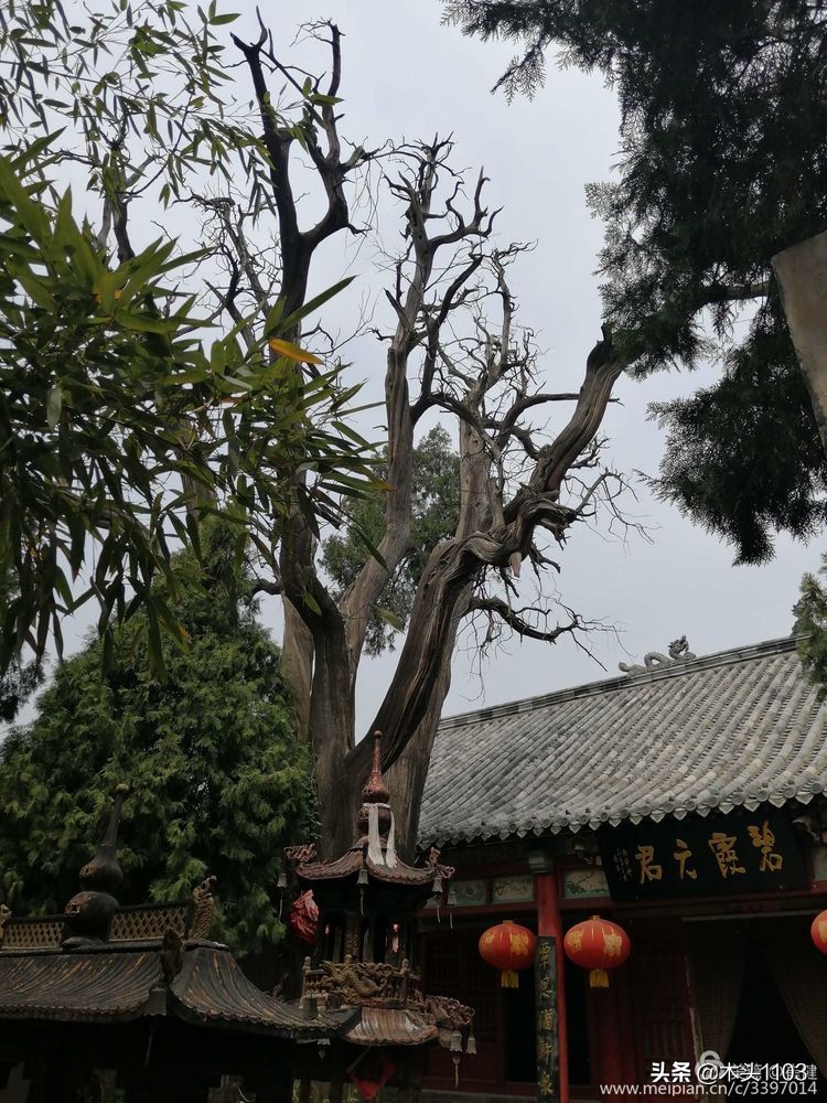 枣庄薛城邹坞镇中陈郝村,枣庄中陈郝村在哪里