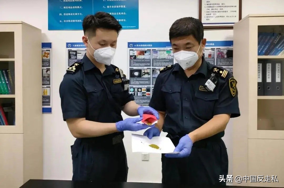 国门利剑2018全集,国门利剑2019十大案件