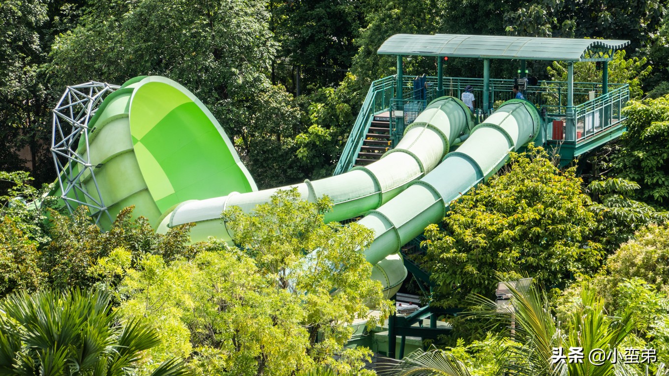 5年之许,小白逆袭重返新加坡