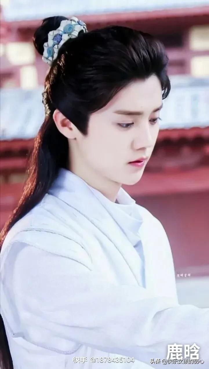 形容古代开朗帅气男子外貌的句子,描写古代男子温润儒雅气质的句子