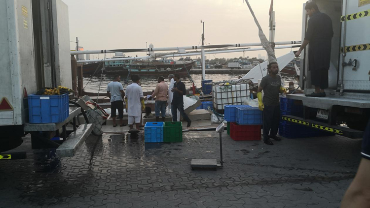 在迪拜穷游真实感受,穷游去迪拜视频