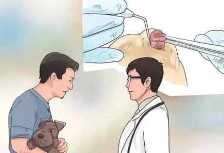狗狗身上瘊子怎么去除,狗狗身上的斑点怎么去除