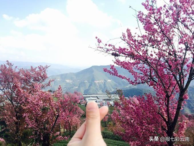 一月去云南旅游攻略路线推荐,3月去云南旅游攻略图片及价格