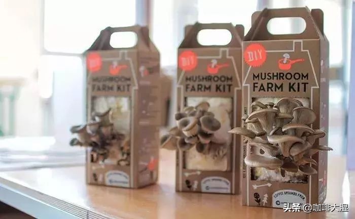 咖啡知识小课堂教程,咖啡小知识课堂