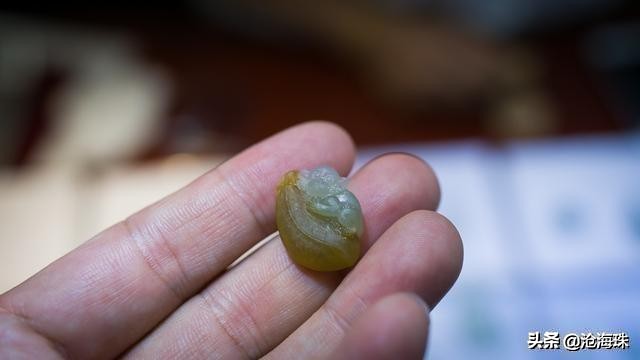 他乡之玉，四会成器！带着老爸淘翡翠，别样的翡翠之旅「0014期」