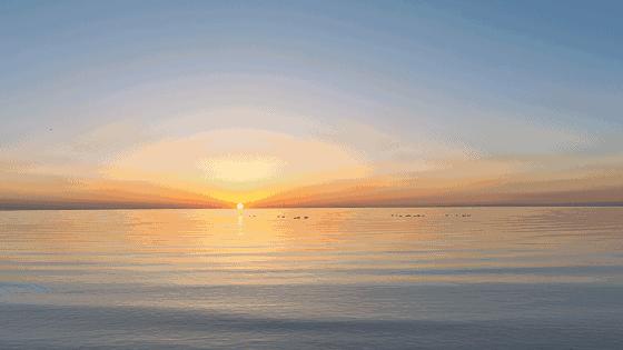 计算机文化,计算机文化讲解