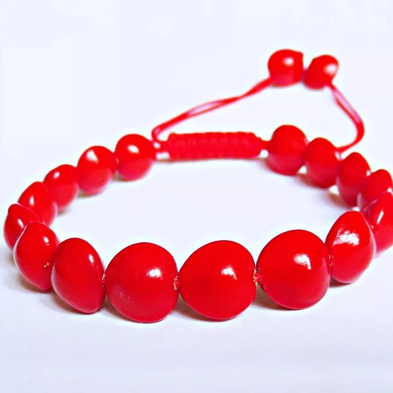 红豆是种子吗还是果实,红豆相思豆长什么样